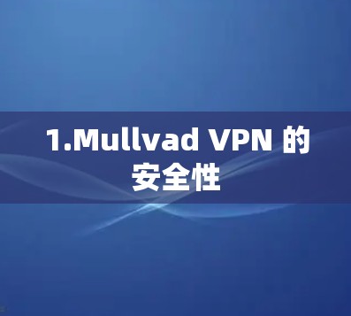 1.Mullvad VPN 的安全性