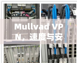 Mullvad VPN,速度与安全的平衡之道
