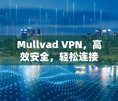 Mullvad VPN,高效安全,轻松连接