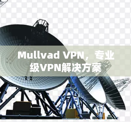 Mullvad VPN，专业级VPN解决方案