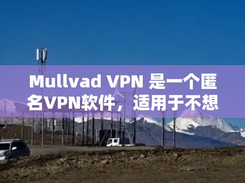 Mullvad VPN 是一个匿名VPN软件,适用于不想透露身份的用户。以下是对该软件的详细分析和使用指南