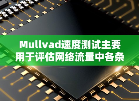 Mullvad速度测试主要用于评估网络流量中各条线路的带宽需求，帮助识别瓶颈线路并优化网络性能。以下是Mullvad速度测试中线路上行排行的解读和分析