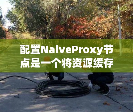 配置NaiveProxy节点是一个将资源缓存到特定节点并管理缓存的节点。以下是对Proxy节点的详细指南
