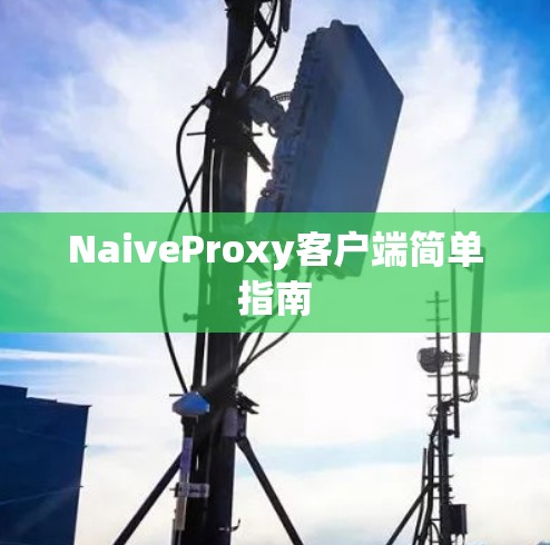 NaiveProxy客户端简单指南