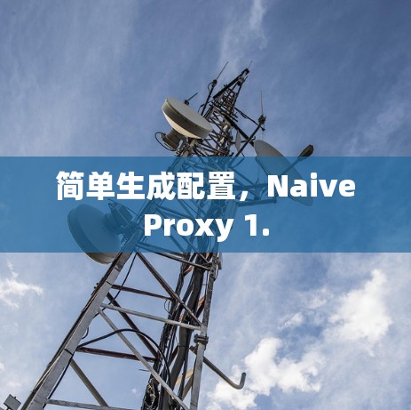 简单生成配置,NaiveProxy 1.