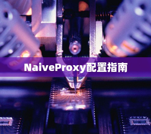 NaiveProxy配置指南