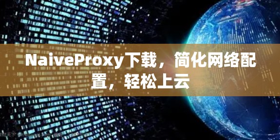 NaiveProxy下载,简化网络配置,轻松上云