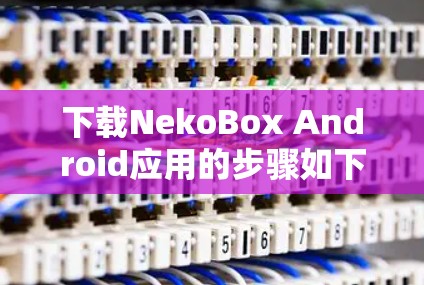 下载NekoBox Android应用的步骤如下