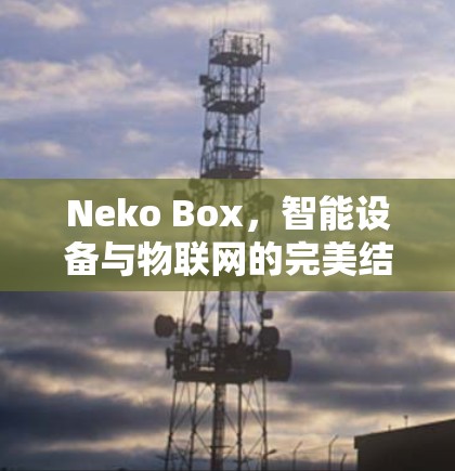 Neko Box,智能设备与物联网的完美结合