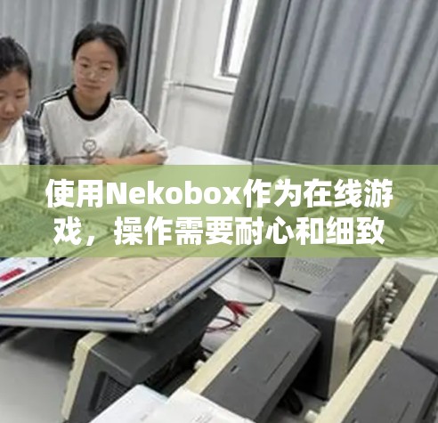 使用Nekobox作为在线游戏,操作需要耐心和细致。以下是一个清晰的步骤指南