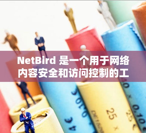 NetBird 是一个用于网络内容安全和访问控制的工具，主要用于管理网站的访问权限和内容安全策略。以下是关于 NetBird 连接测试的一些常见场景和测试方法