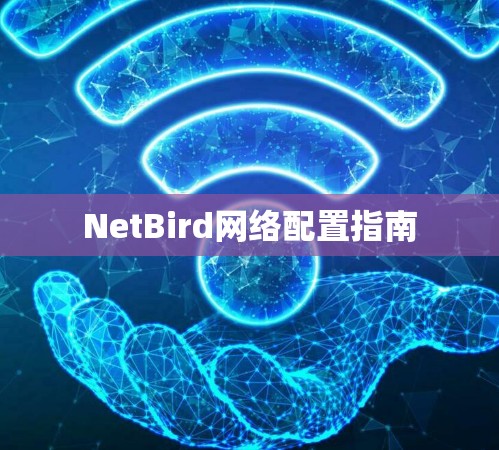 NetBird网络配置指南