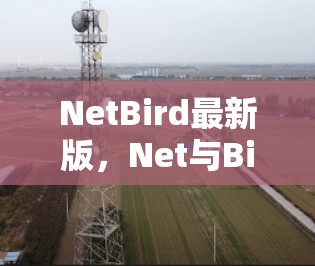 2026年9月 第235页