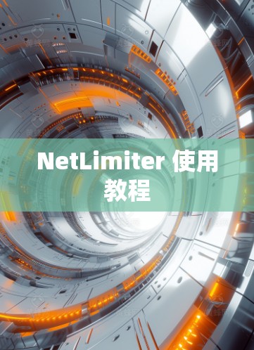 NetLimiter 使用教程
