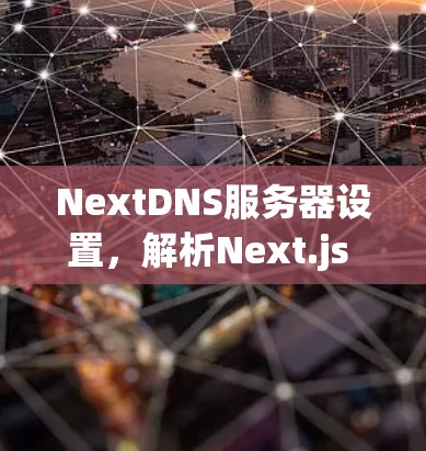 NextDNS服务器设置，解析Next.js API的实践