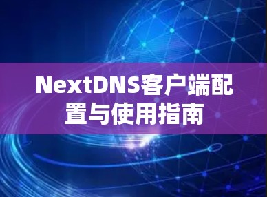 NextDNS客户端配置与使用指南