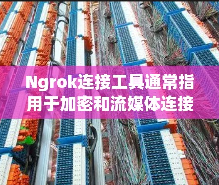 Ngrok连接工具通常指用于加密和流媒体连接的工具。以下是几种常见的Ngrok工具及其用途
