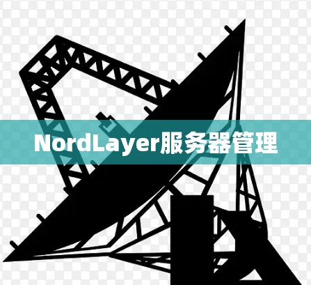NordLayer服务器管理