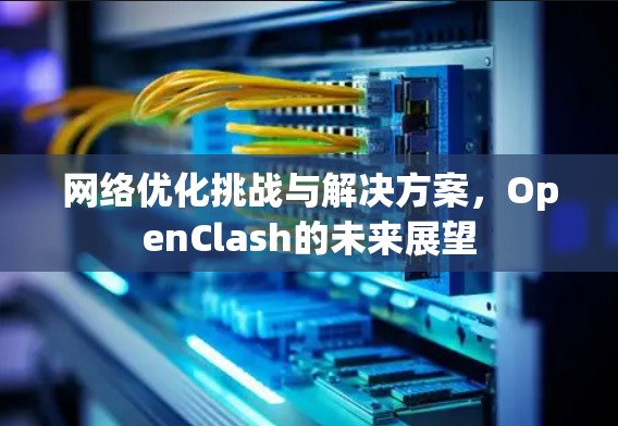 网络优化挑战与解决方案,OpenClash的未来展望