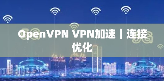 OpenVPN VPN加速|连接优化