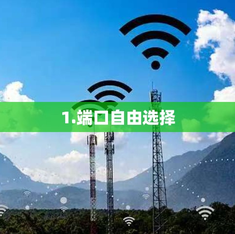 1.端口自由选择