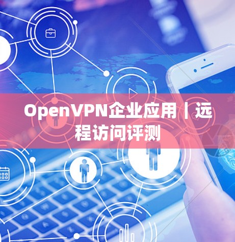 OpenVPN企业应用|远程访问评测