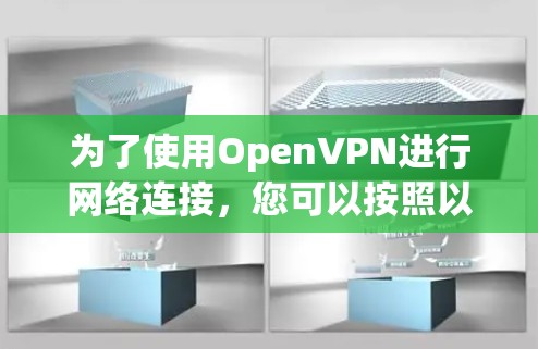 为了使用OpenVPN进行网络连接,您可以按照以下步骤进行