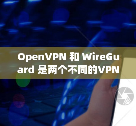 OpenVPN 和 WireGuard 是两个不同的VPN协议,它们在协议架构、性能、安全性等方面有所不同。以下是它们的比较分析,重点分析协议性能和安全性方面