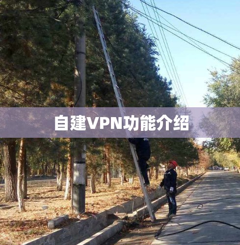 自建VPN功能介绍