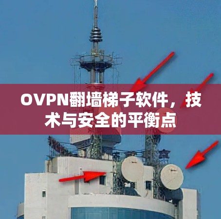 OVPN翻墙梯子软件,技术与安全的平衡点