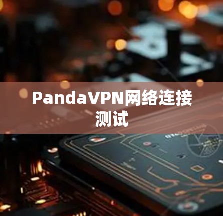 PandaVPN网络连接测试