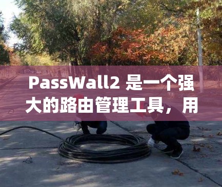 PassWall2 是一个强大的路由管理工具，用于管理 Nagios 节点之间的连接。它可以支持复杂的路由配置，帮助你快速管理和控制你的 Nagios 网络