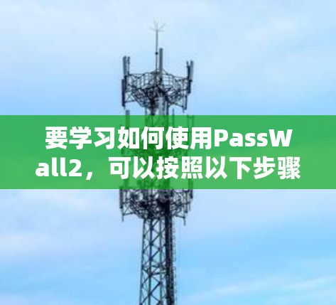 要学习如何使用PassWall2,可以按照以下步骤进行