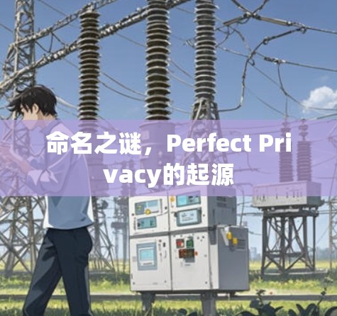 命名之谜,Perfect Privacy的起源