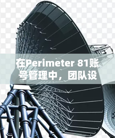 在Perimeter 81账号管理中,团队设置是确保团队高效协作和安全的重要步骤。以下是对团队设置方法的详细说明