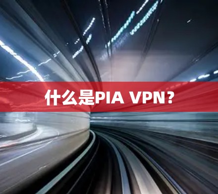 什么是PIA VPN?
