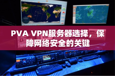 PVA VPN服务器选择,保障网络安全的关键