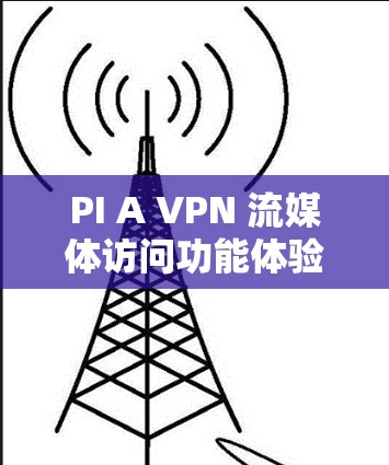 PI A VPN 流媒体访问功能体验报告