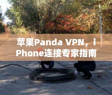 苹果Panda VPN,iPhone连接专家指南