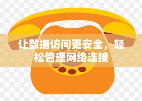 让数据访问更安全，轻松管理网络连接