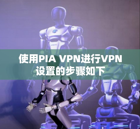使用PIA VPN进行VPN设置的步骤如下