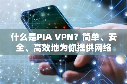 什么是PIA VPN?简单、安全、高效地为你提供网络连接方案!