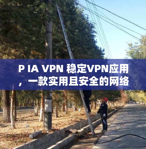 P IA VPN 稳定VPN应用,一款实用且安全的网络防护工具