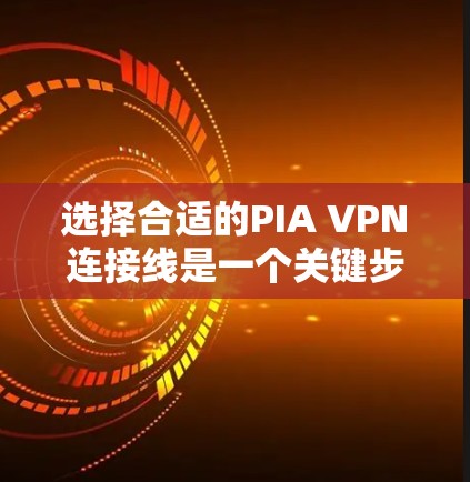 选择合适的PIA VPN连接线是一个关键步骤,以下是一个有条理的指南,帮助您进行选择