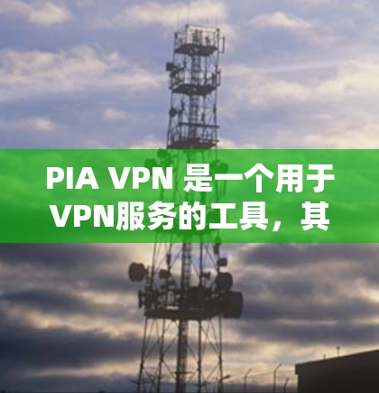 PIA VPN 是一个用于VPN服务的工具，其安全性主要体现在以下几个方面