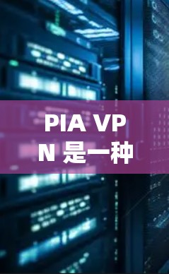 PIA VPN 是一种专门用于保护个人隐私的VPN，通过加密传输、IP地址加密、数据加密等措施，确保用户在访问网络时的隐私安全。以下是关于PIA VPN的详细分析