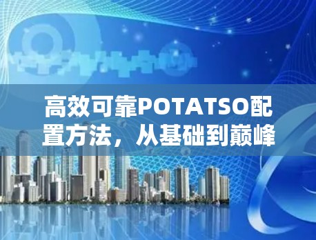 高效可靠POTATSO配置方法,从基础到巅峰