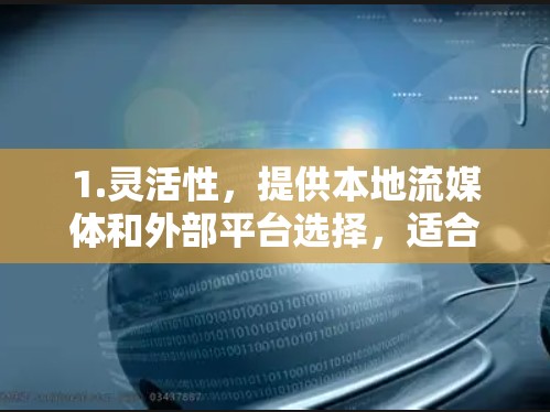 1.灵活性,提供本地流媒体和外部平台选择,适合用户多样化的需求