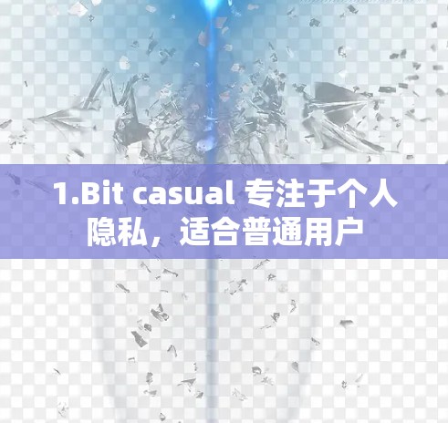 1.Bit casual 专注于个人隐私,适合普通用户