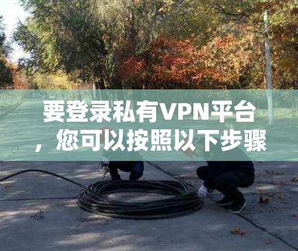 要登录私有VPN平台，您可以按照以下步骤操作